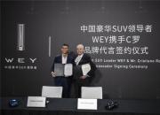 WEY他守护，C罗破荒尤文领跑排行榜
