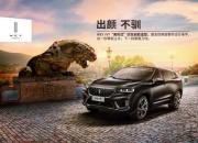 挑花眼的SUV市场 为什么不选合资品牌而选择他