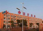 国轩高科李缜：行稳致远，造一块安全电池